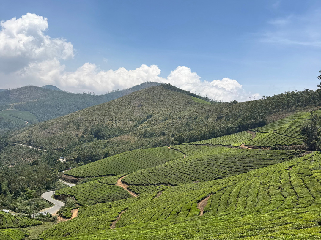 Rajamalai (Eravikulam) National Park-慕那尔必去景点