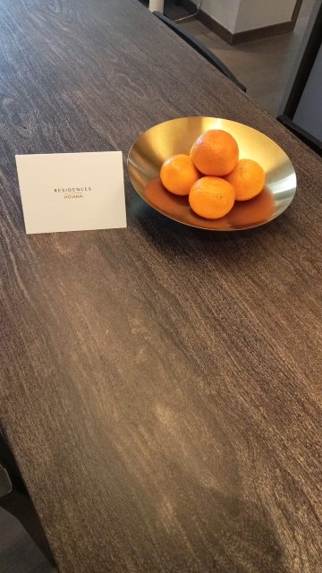 会安公寓酒店-旅行者