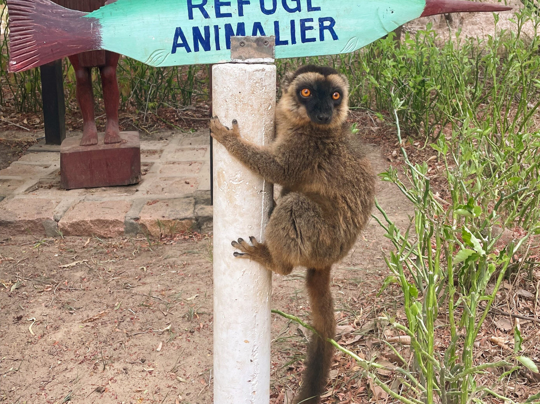 Madagascar Magic Tours-安齐拉贝必去景点