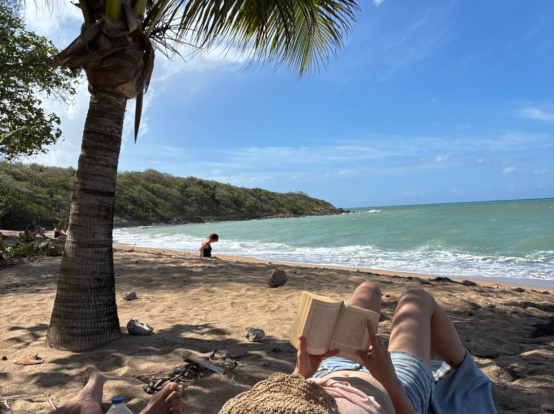 Plage Des Amandiers-Sainte Rose必去景点