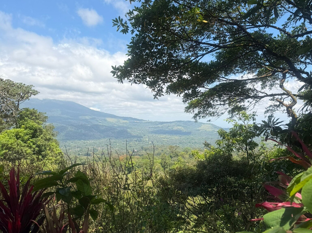 Heliconias Hanging Bridges Trails-Bijagua de Upala必去景点