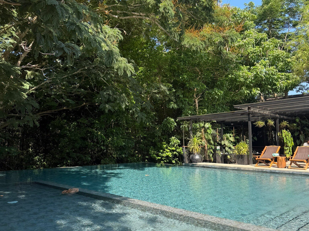 科隆有趣狮子酒店主图