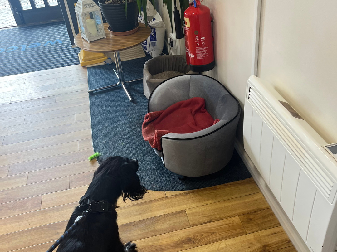 Travelodge Hotel - Canterbury Whitstable主图