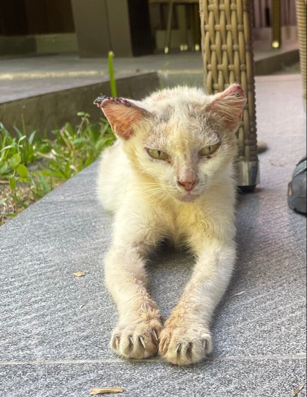 穆九海洋度假村-哈夫洛克岛主图