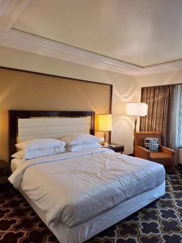浦那外滩花园喜来登大酒店-旅行者