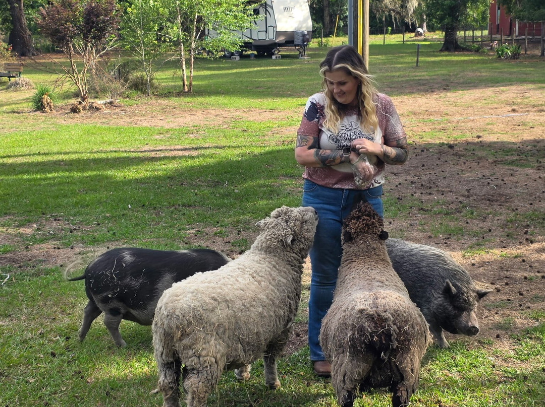 Rooterville Animal Sanctuary-Melrose必去景点