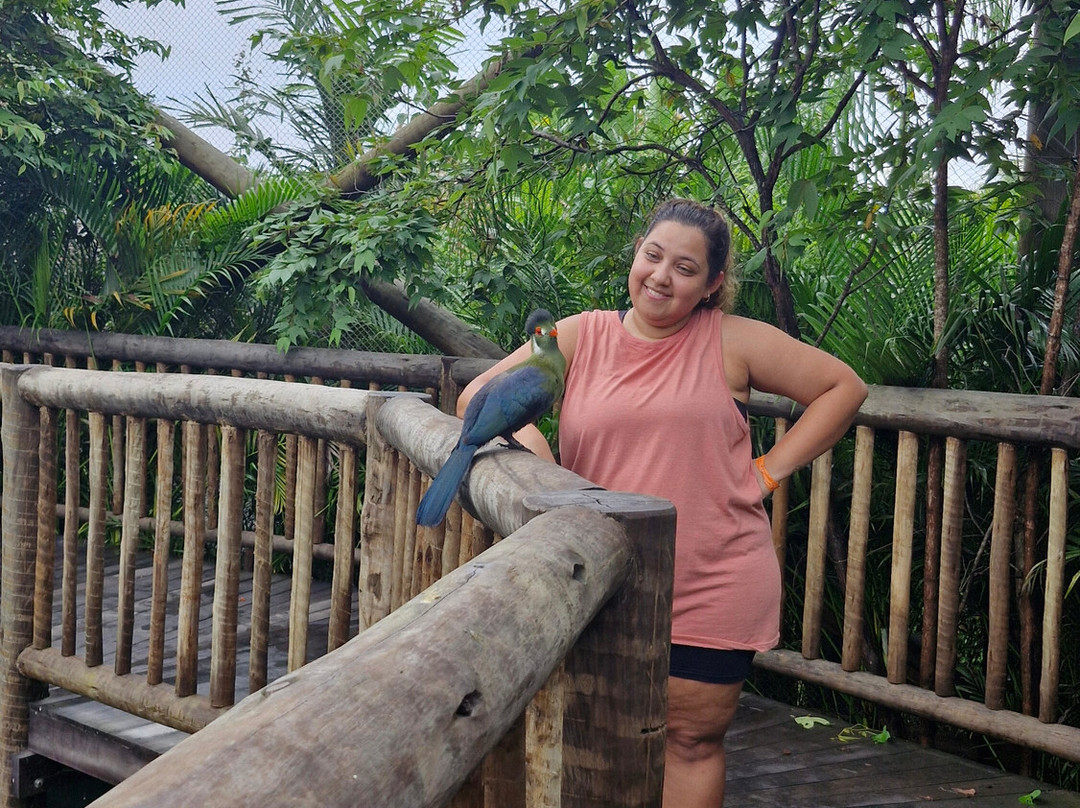 Parque Arvorar-Aquiraz必去景点