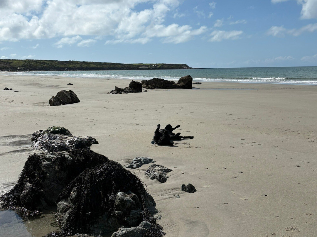 Traeth Penllech-Pwllheli必去景点