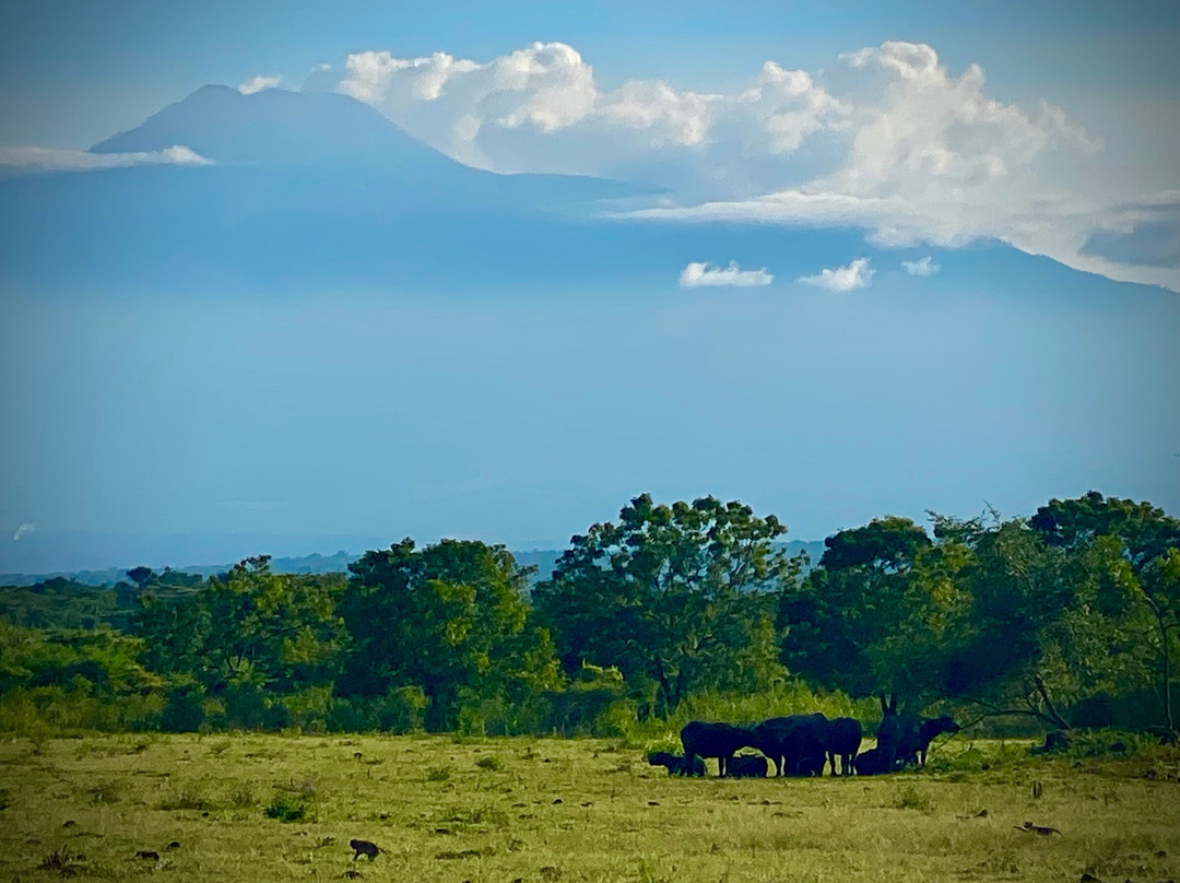 Baluran National Park-Situbondo必去景点