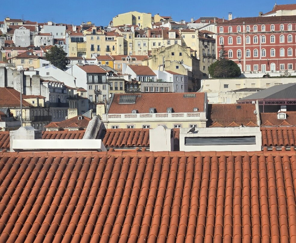 Eco Tuk Tuk Lisbon-里斯本必去景点