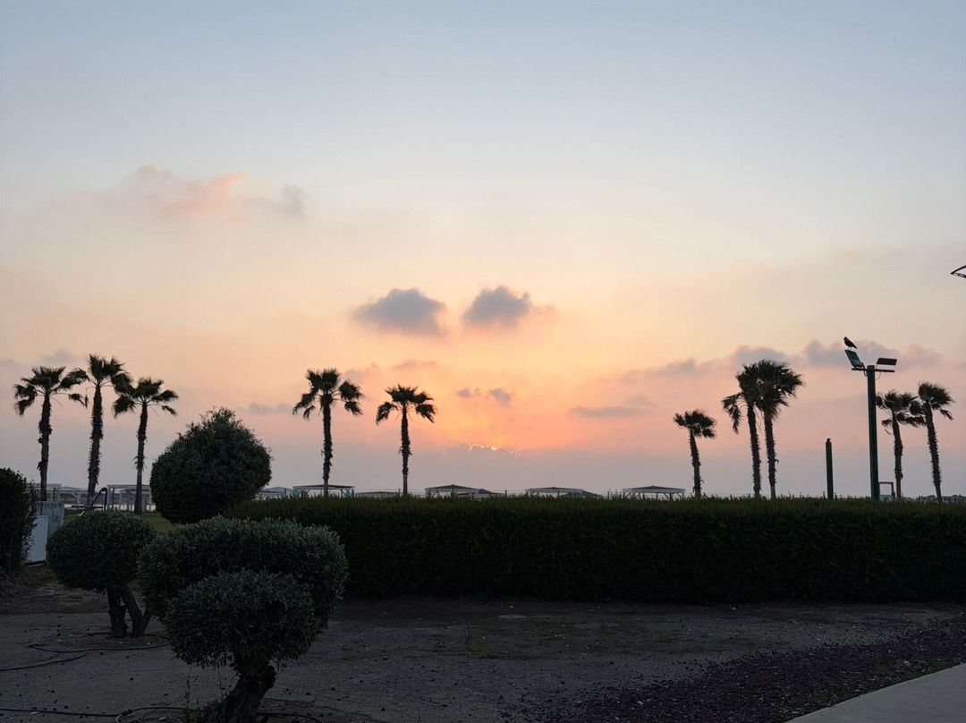 Nahsholim Beach Hotel主图