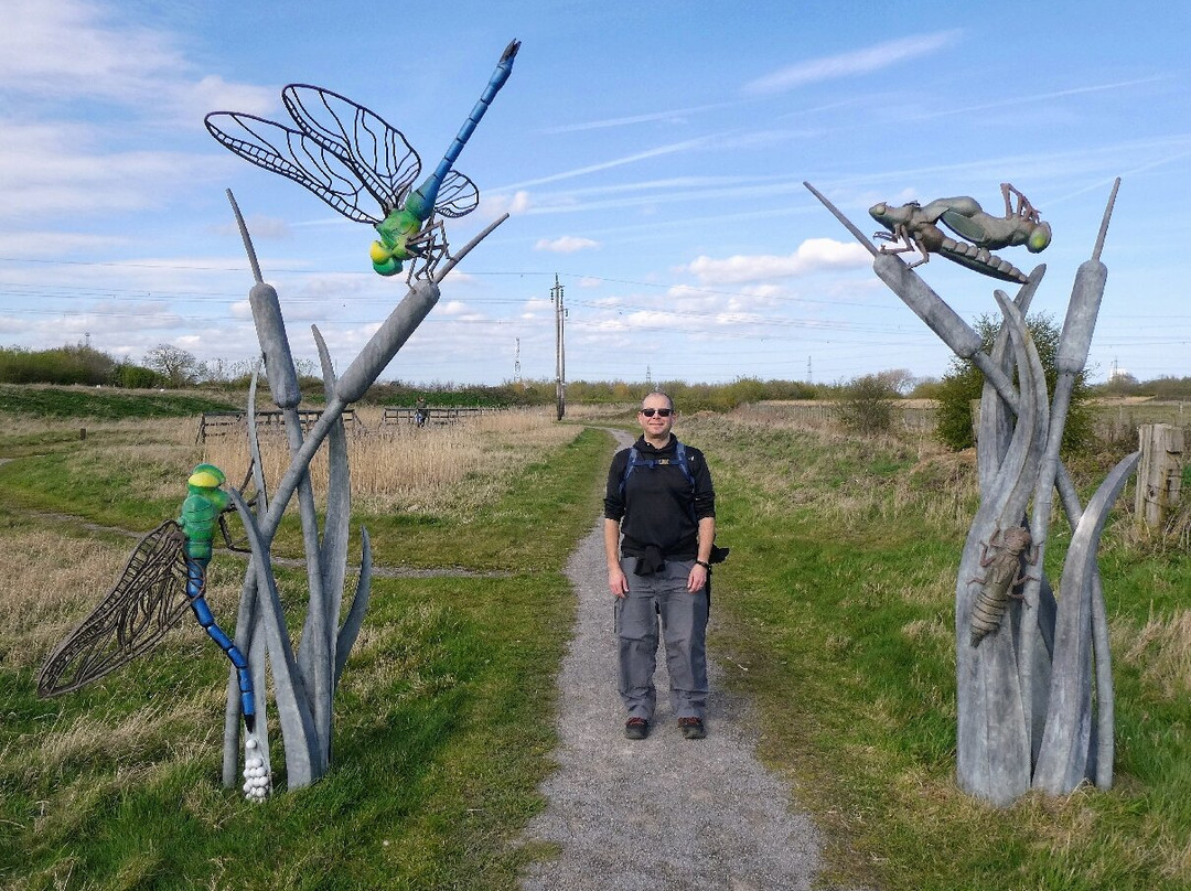 RSPB Saltholme-米德尔斯堡必去景点