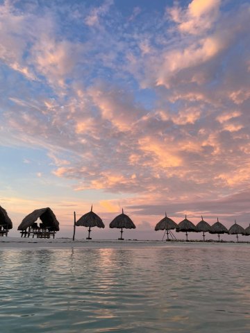 Hotel Isla Palma Reserva Natural-旅行者