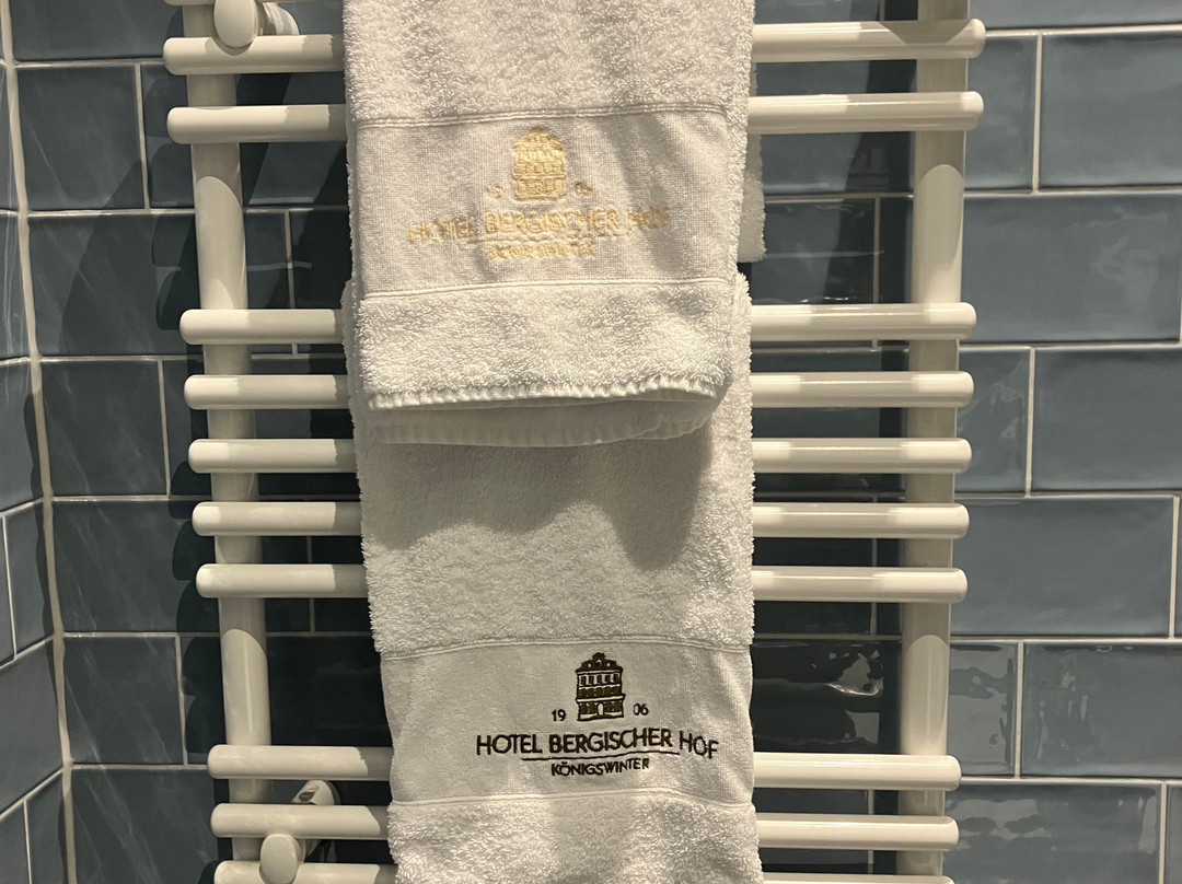 Storyhotel Bergischer Hof Königswinter主图