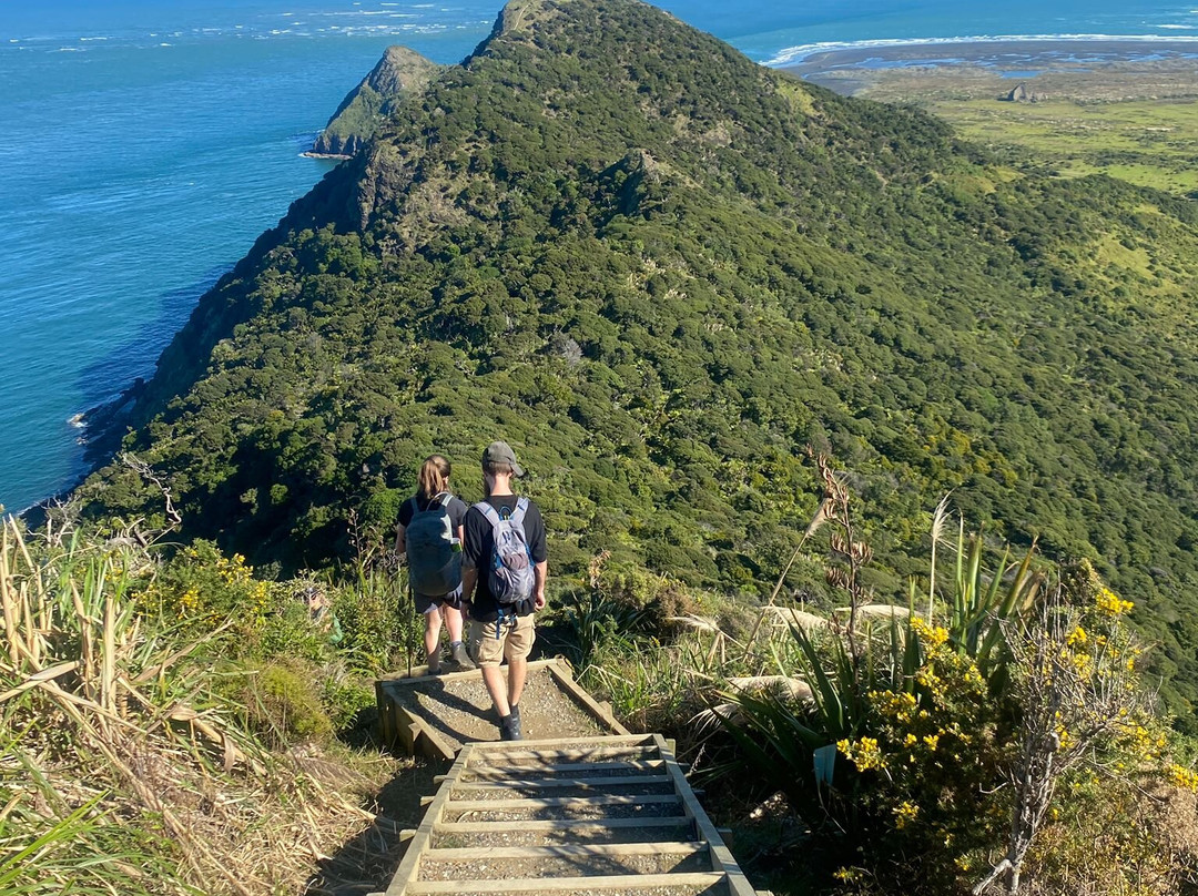 Omanawanui Track-奥克兰中心地区必去景点