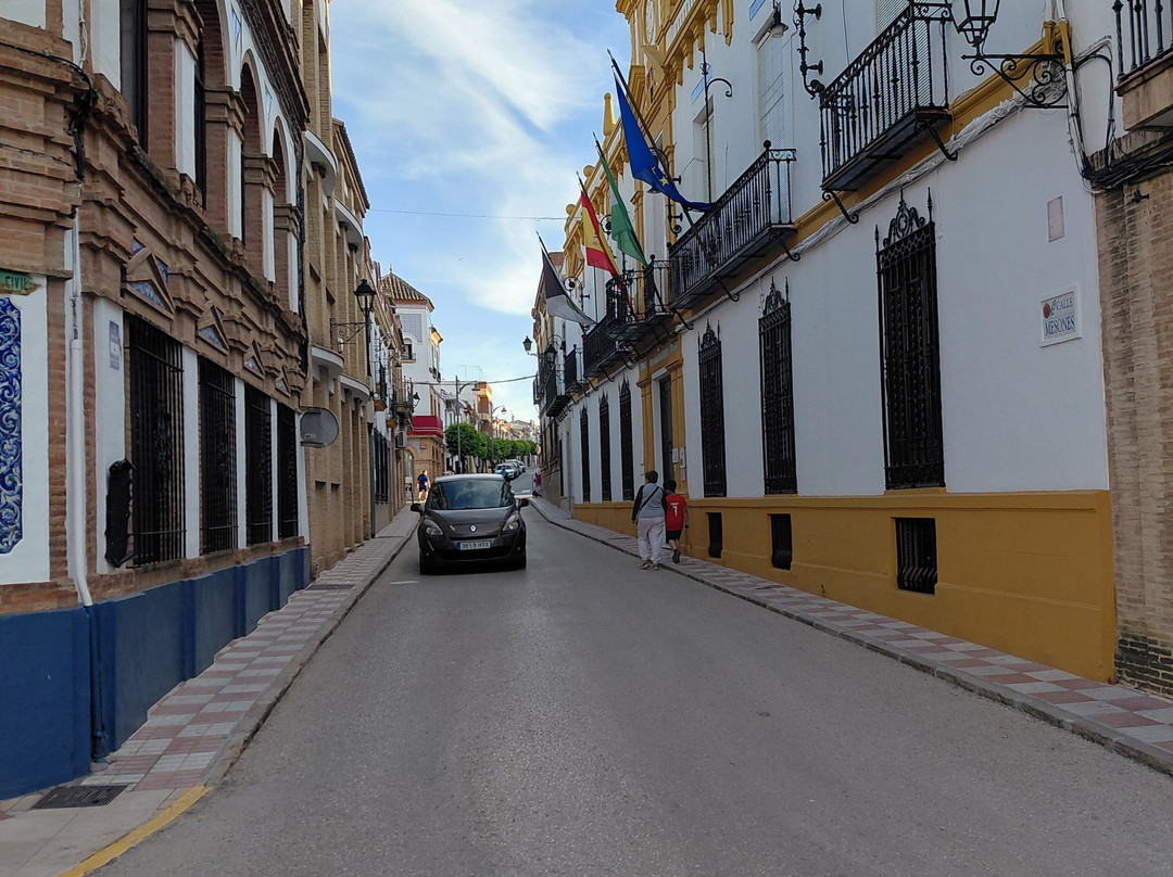 Modelando entre olivos-Arjonilla必去景点