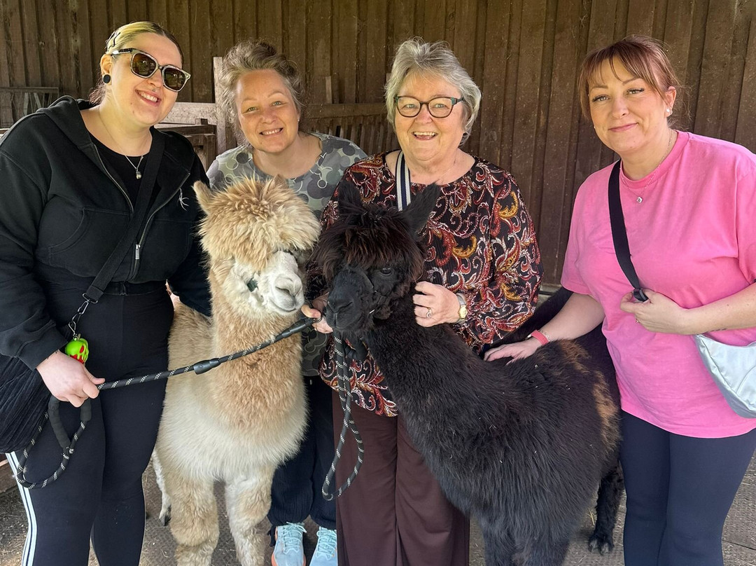 White Peak Alpaca Farm-Mobberley必去景点