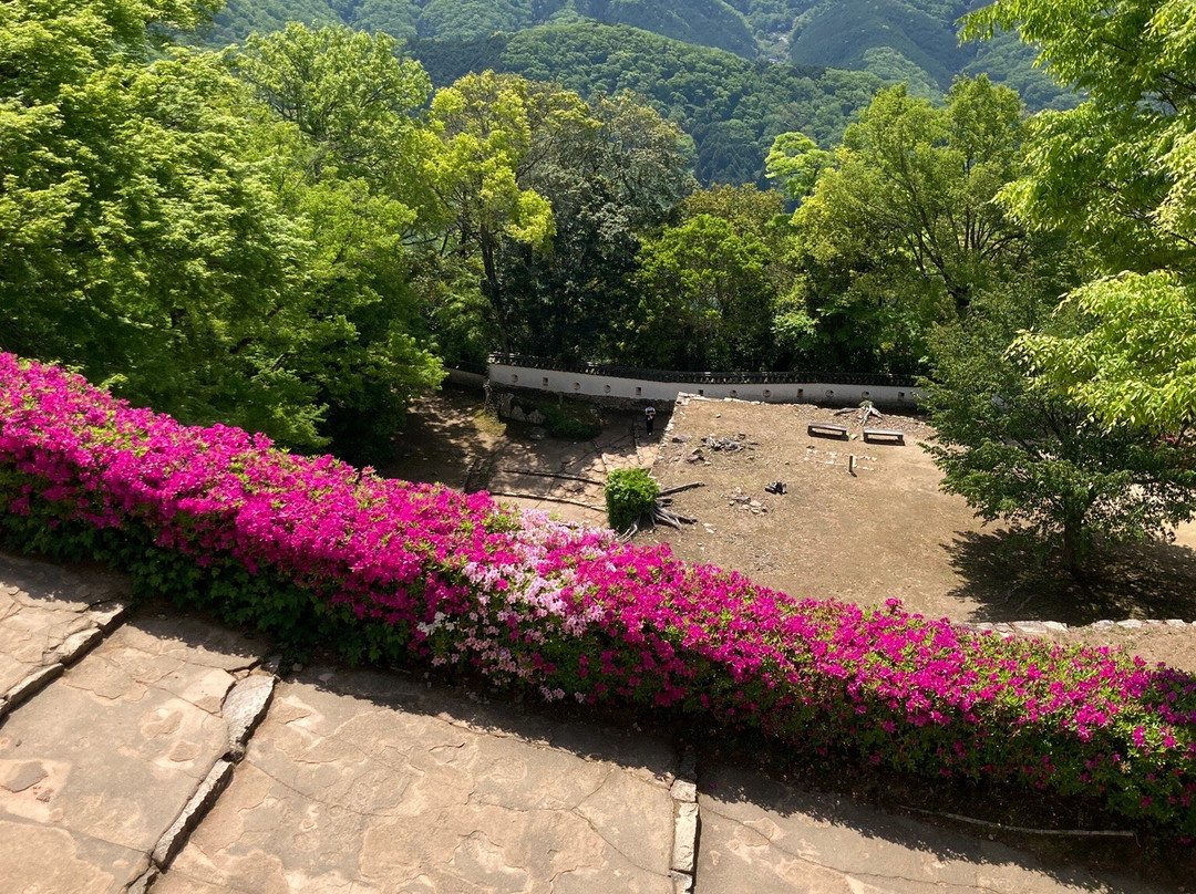 Bitchu Matsuyama Castle-高粱市必去景点