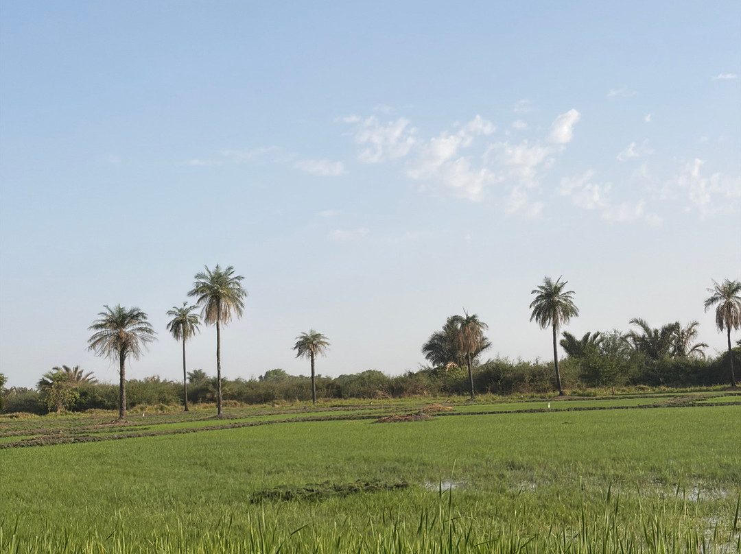 Ibrahima Tours-Kedougou必去景点