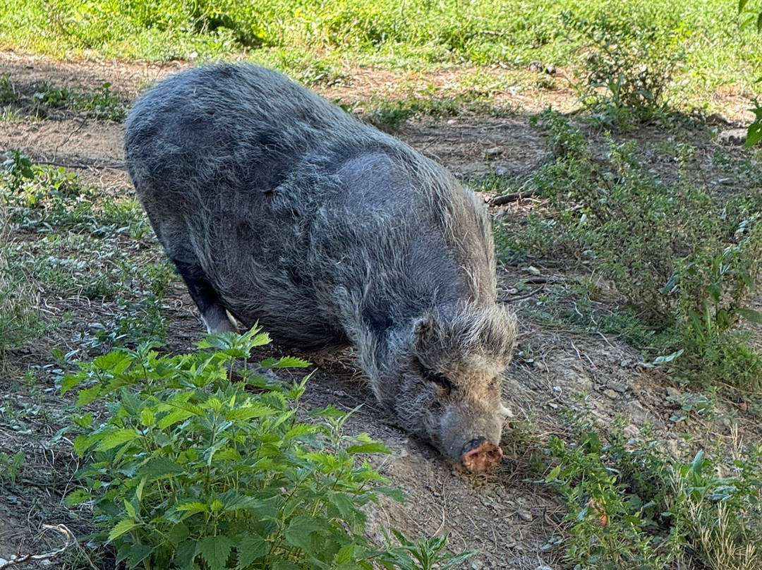 Parco Naturale Di Cervia-切尔维亚必去景点