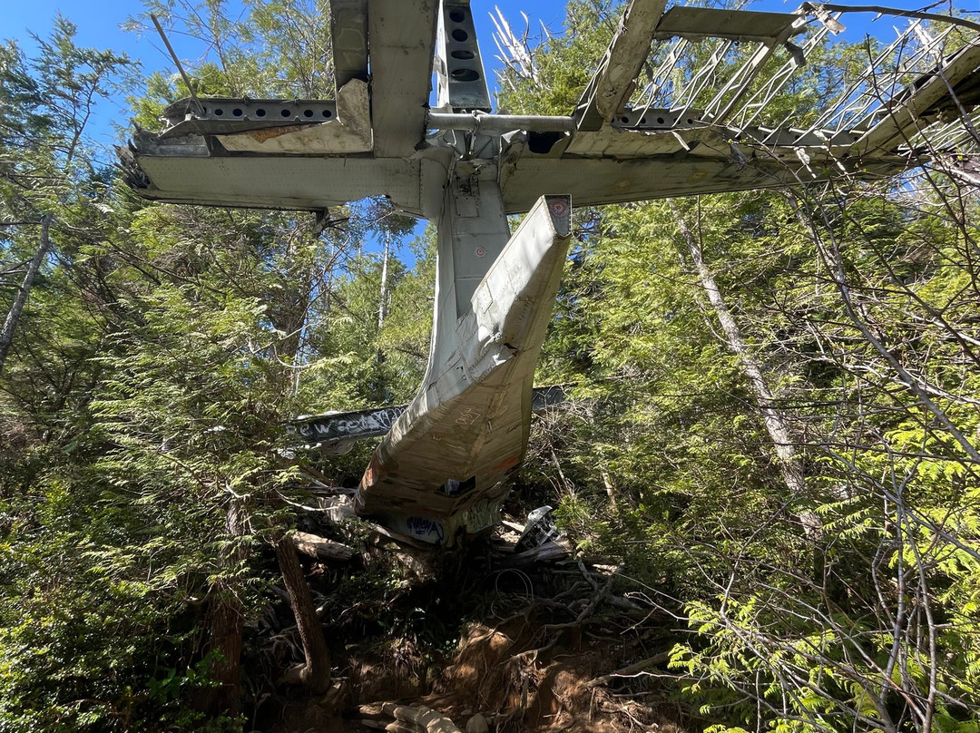 Canso Plane Crash Hike-托菲诺必去景点