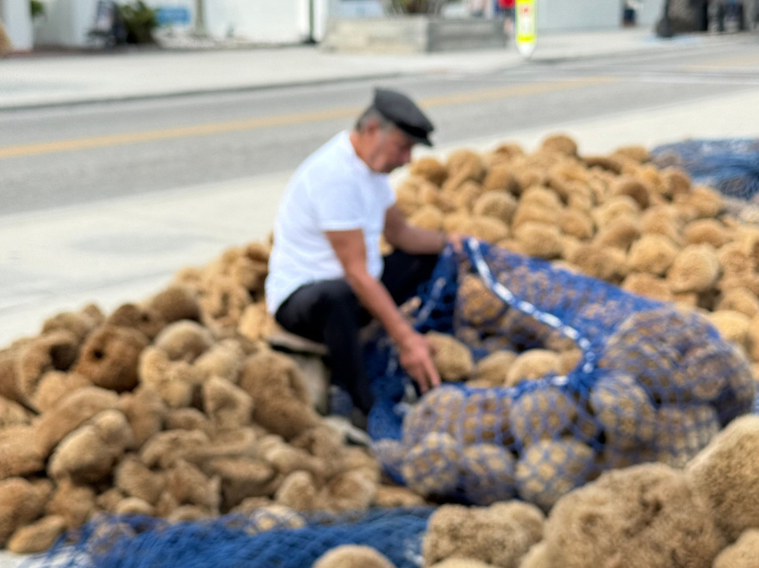 Tarpon Springs Sponge Docks-塔彭斯普林斯必去景点