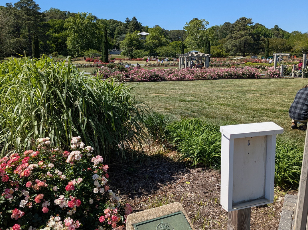Norfolk Botanical Garden-诺福克必去景点