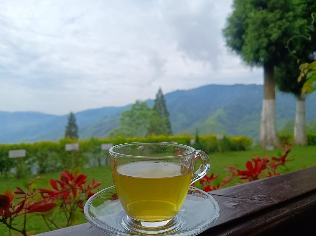 查梦嘉巴里山水疗休闲酒店主图