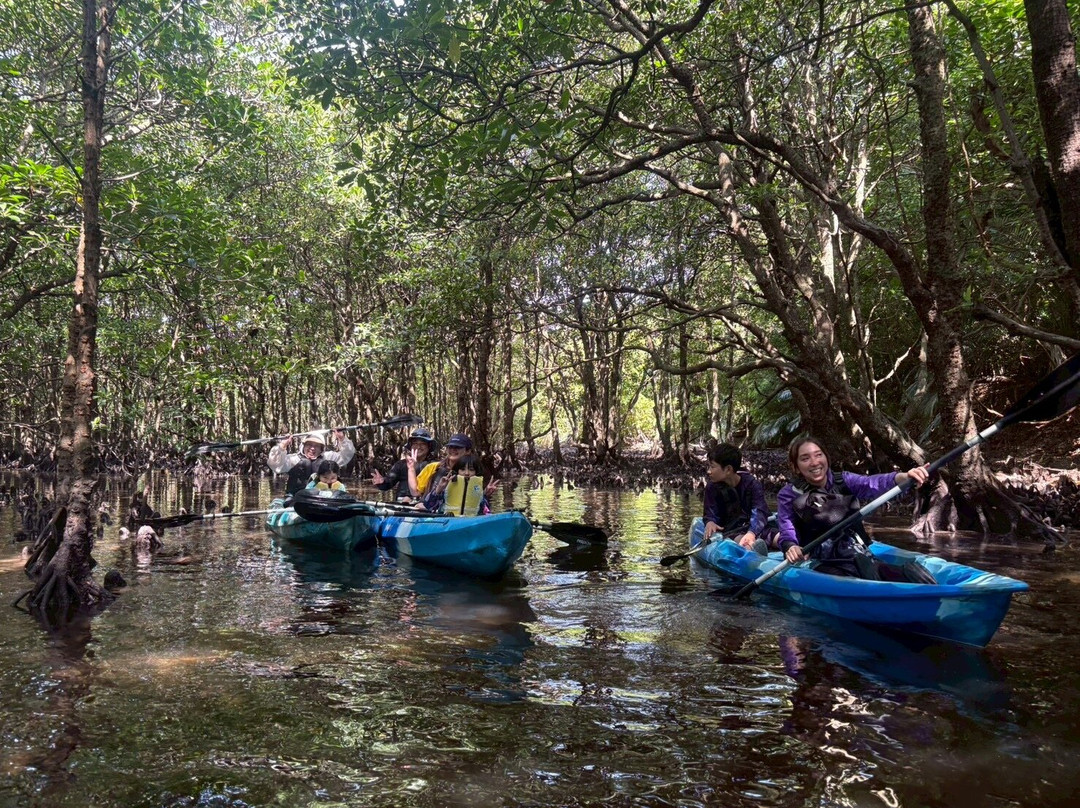 IRIOMOTE ADVENTURE PiPi-竹富町西表岛必去景点