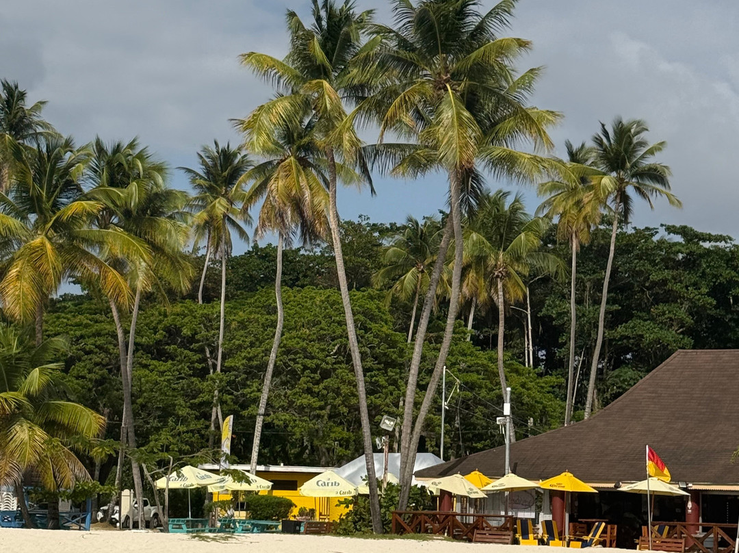 Pigeon Point Beach-多巴哥必去景点