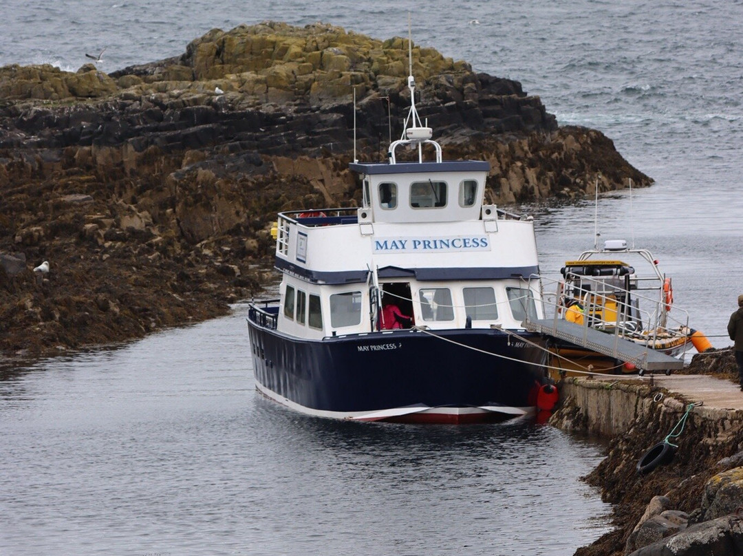 Anstruther Pleasure Cruises-Boat Day Tours-Anstruther必去景点