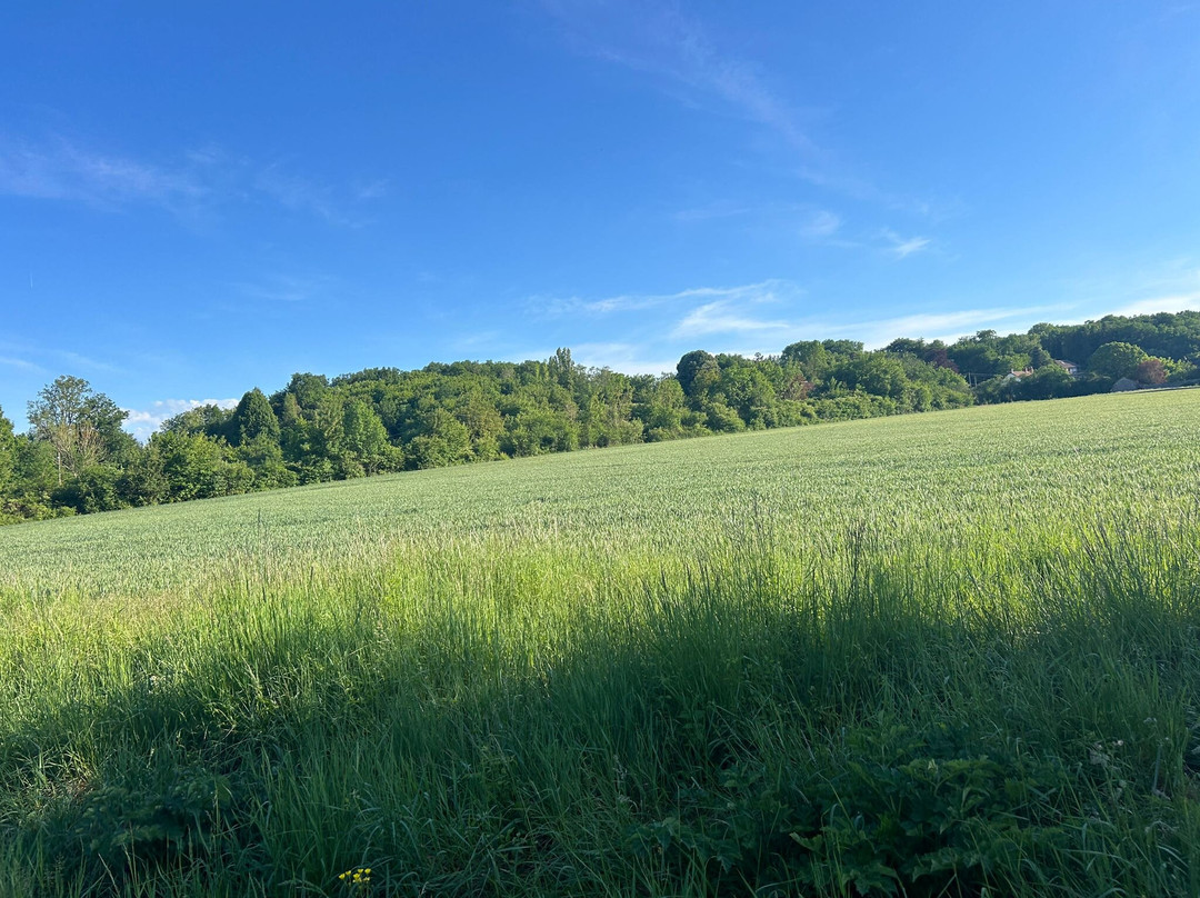 Camping La Rivière Dorée