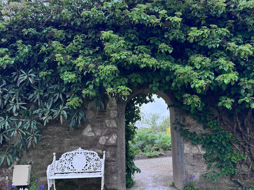 Mount Congreve Gardens-County Waterford必去景点