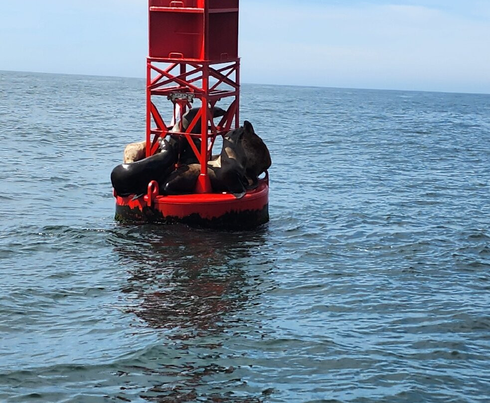Whale Research EcoExcursions-Depoe Bay必去景点