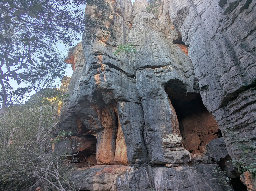 Mimbi Caves-菲茨罗伊克罗辛必去景点