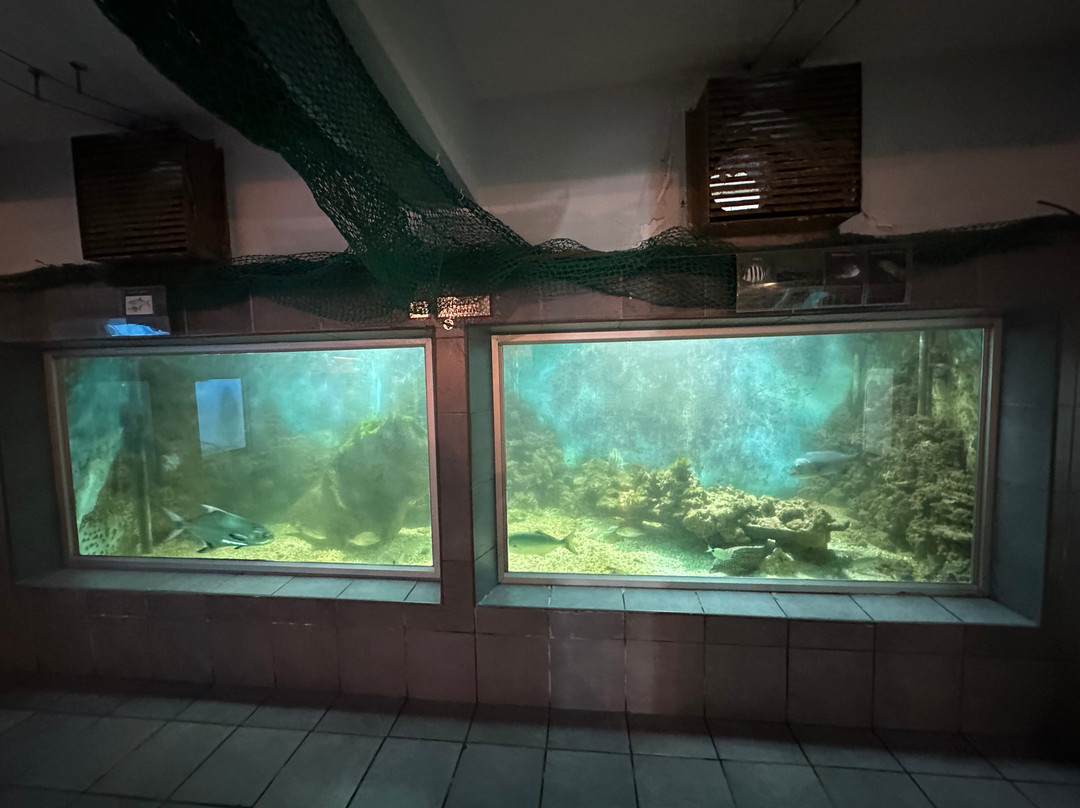 East London Aquarium-东伦敦必去景点