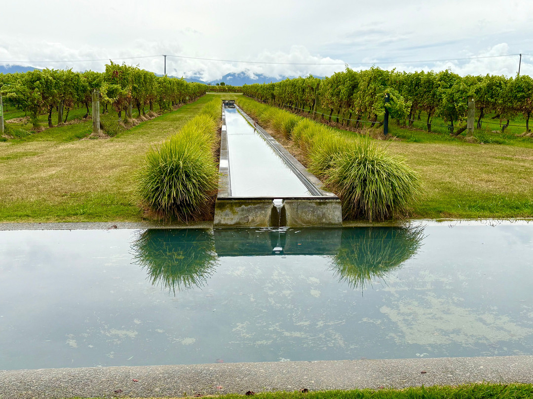 Villa Maria Estate Marlborough Winery-布伦海姆必去景点