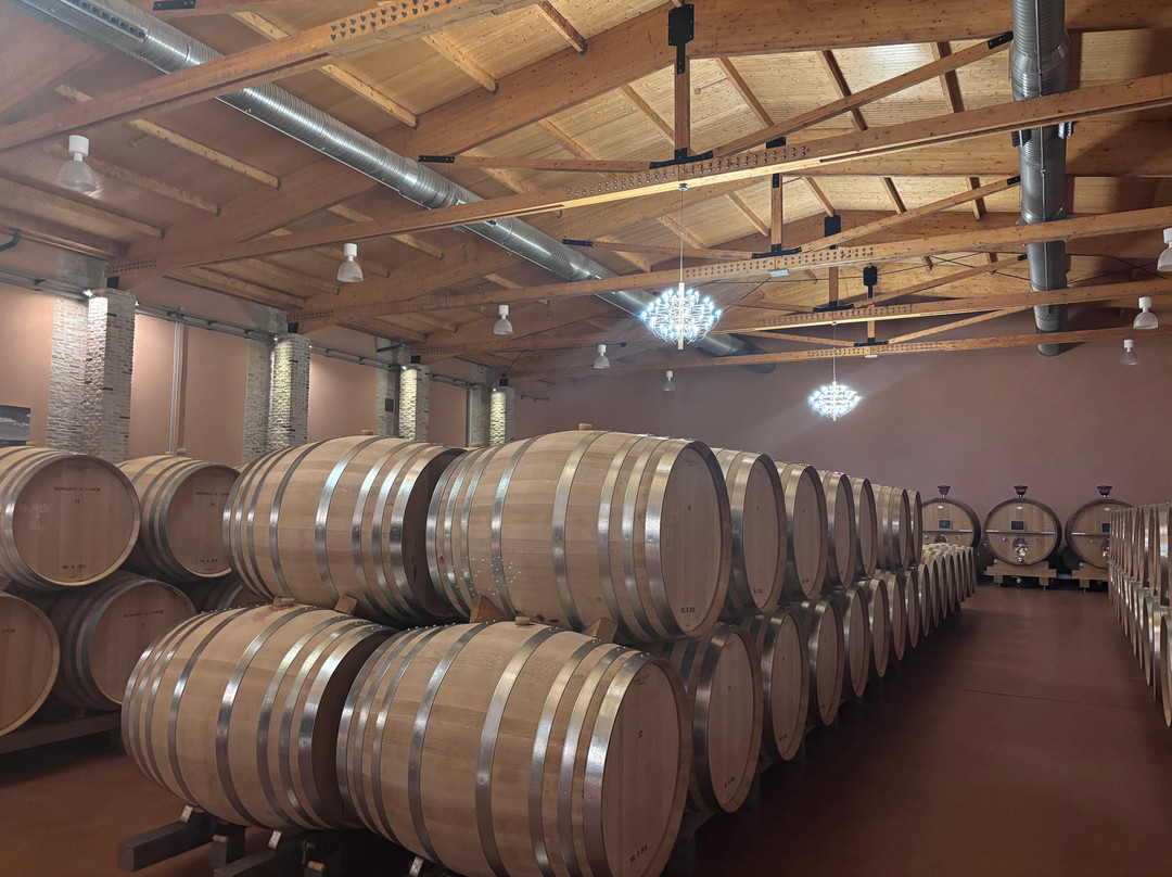 Emilio Moro Bodegas-Pesquera de Duero必去景点