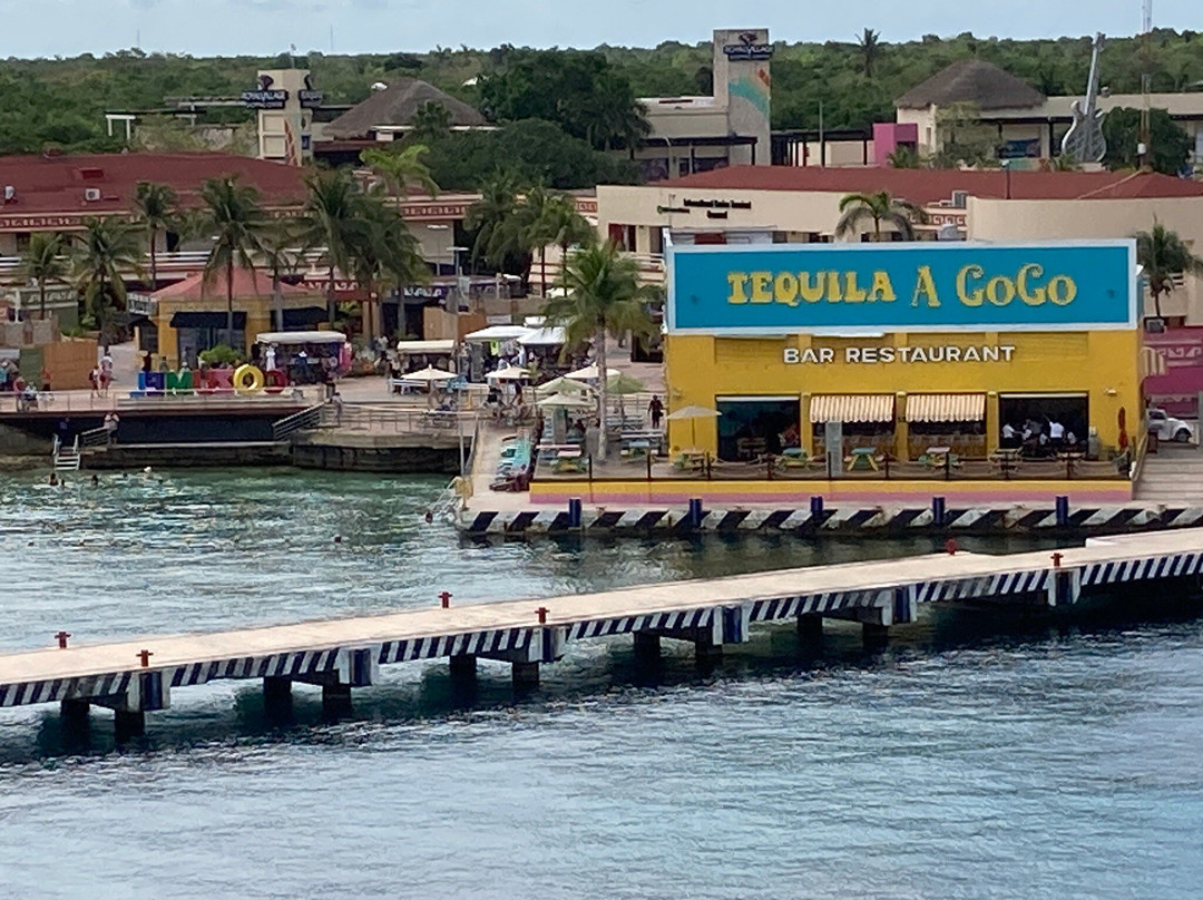 Tequila a Go Go Cozumel