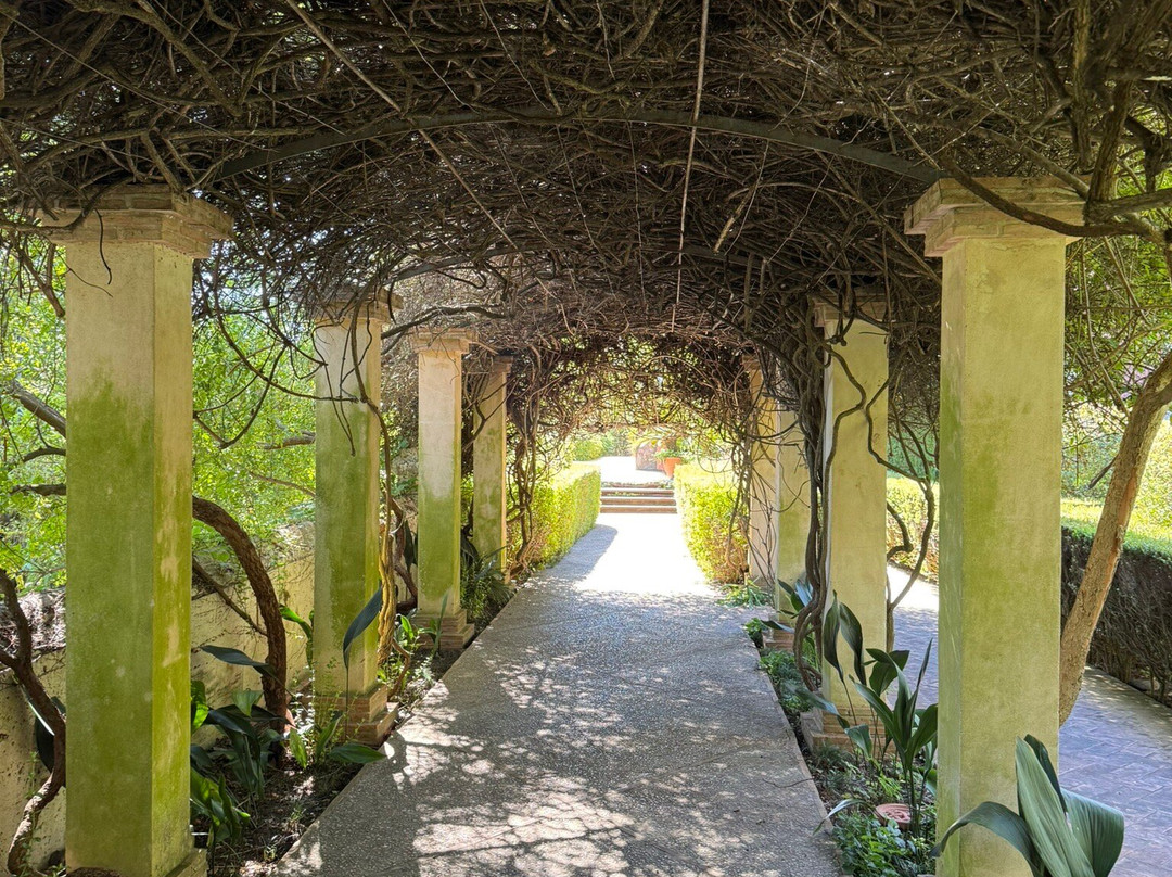 L'Albarda Garden-Pedreguer必去景点