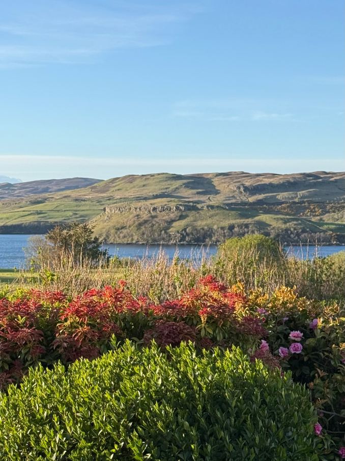 Taigh Ailean Hotel-旅行者