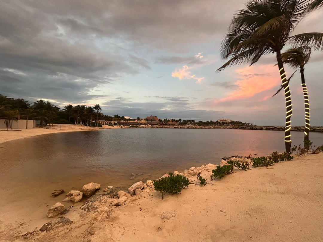 Catalonia Yucatan Beach - All Inclusive主图