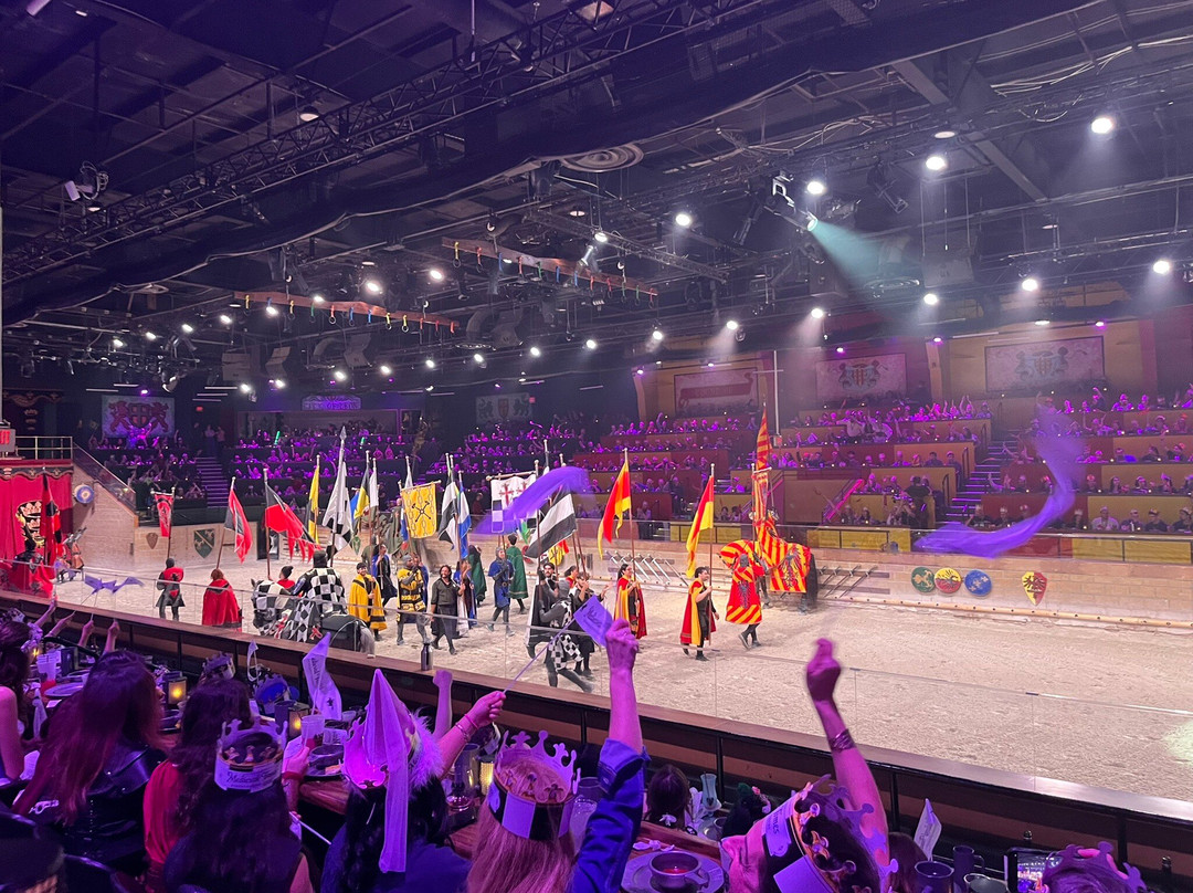 Medieval Times Dinner & Tournament-林德赫斯特必去景点
