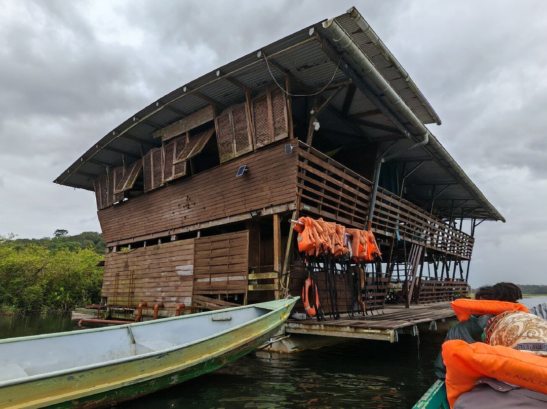 Ecolodge Flottant - Marais de Kaw-Regina必去景点