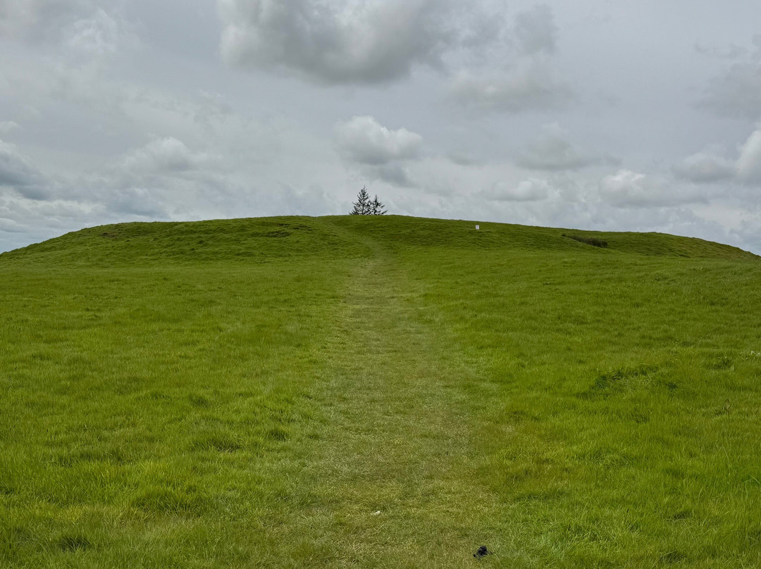 Rathcroghan Royal Site & Visitor Centre-Tulsk必去景点