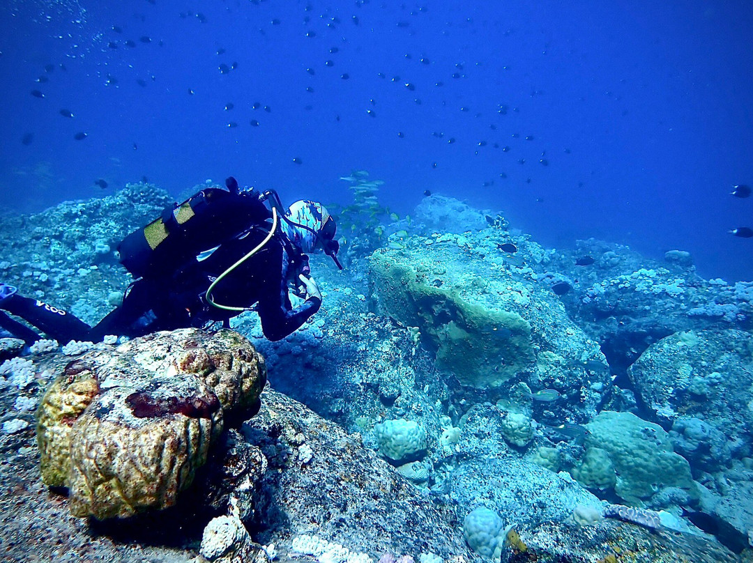 Emperator Diving Center-大湾必去景点