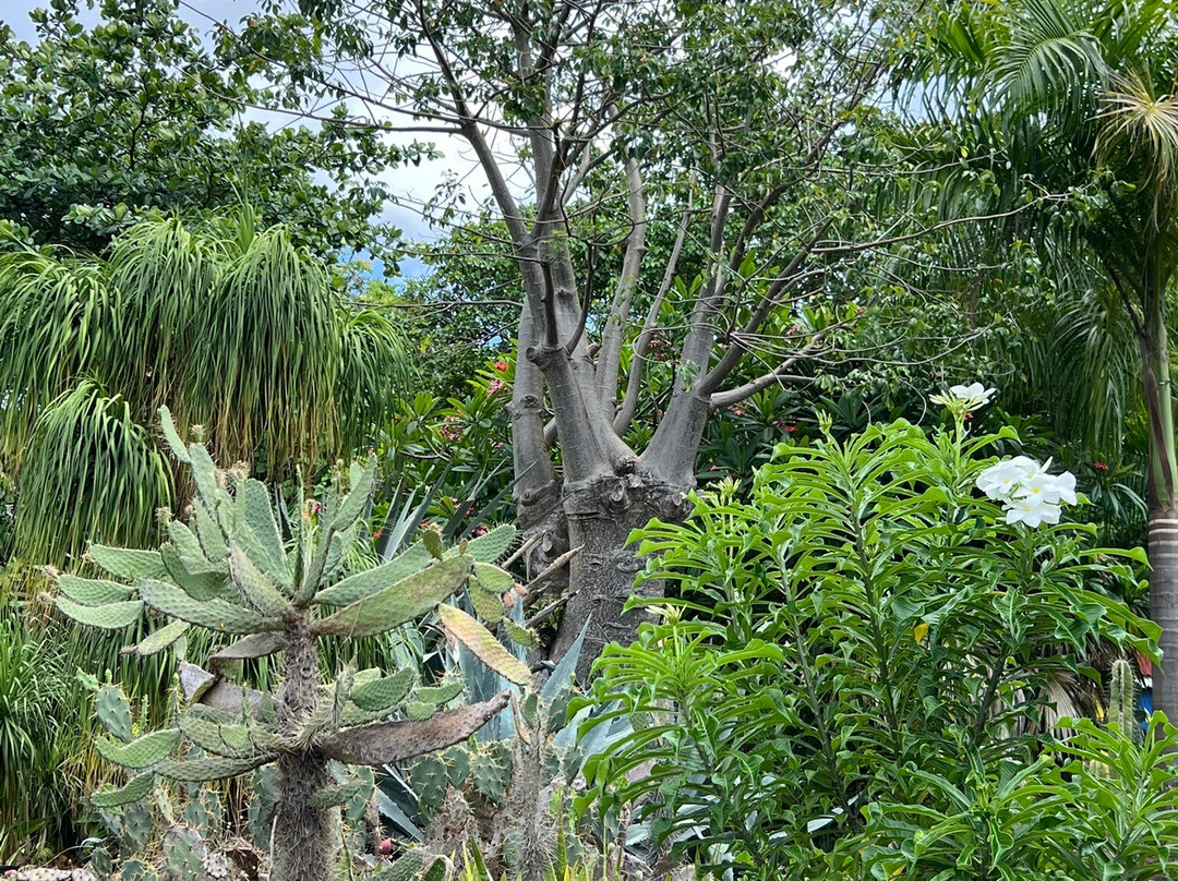 J.R. O'Neal Botanical Gardens-Road Town必去景点