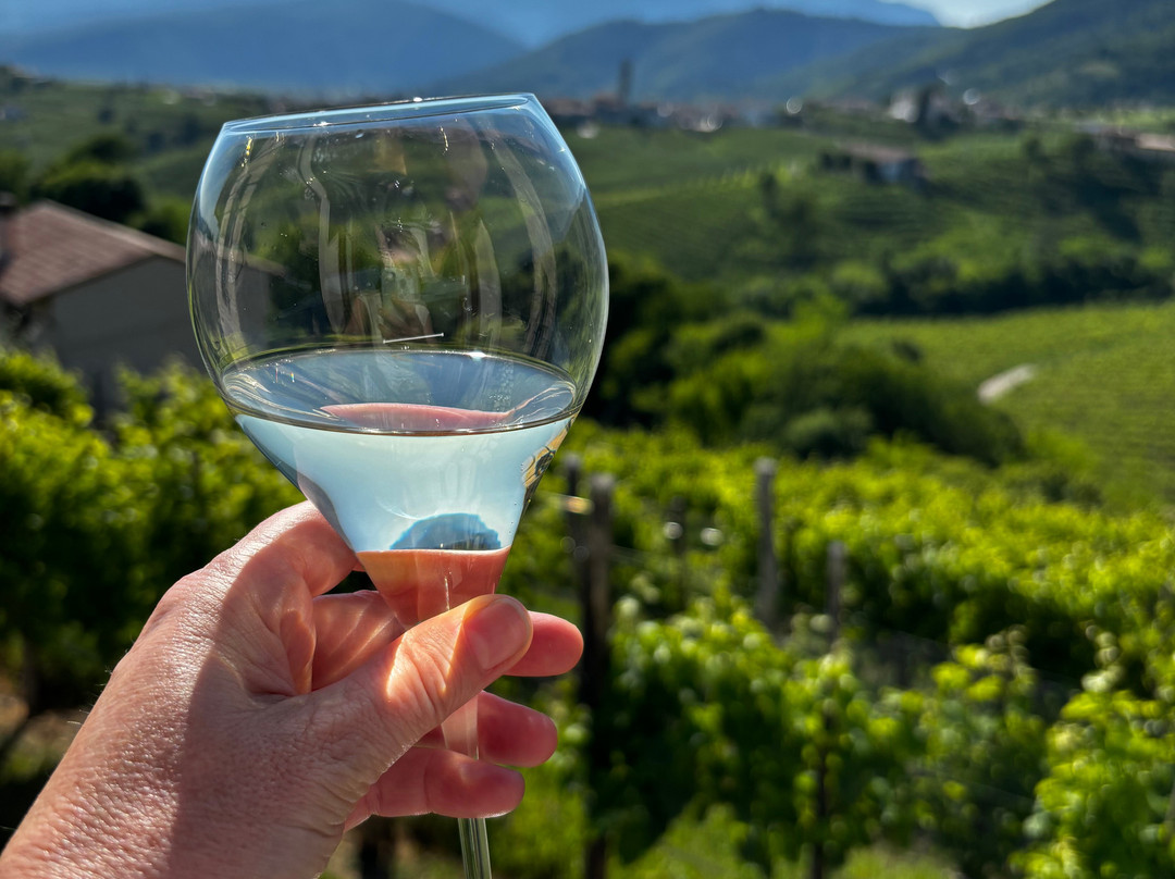 Azienda Agricola Acerle-Santo Stefano必去景点