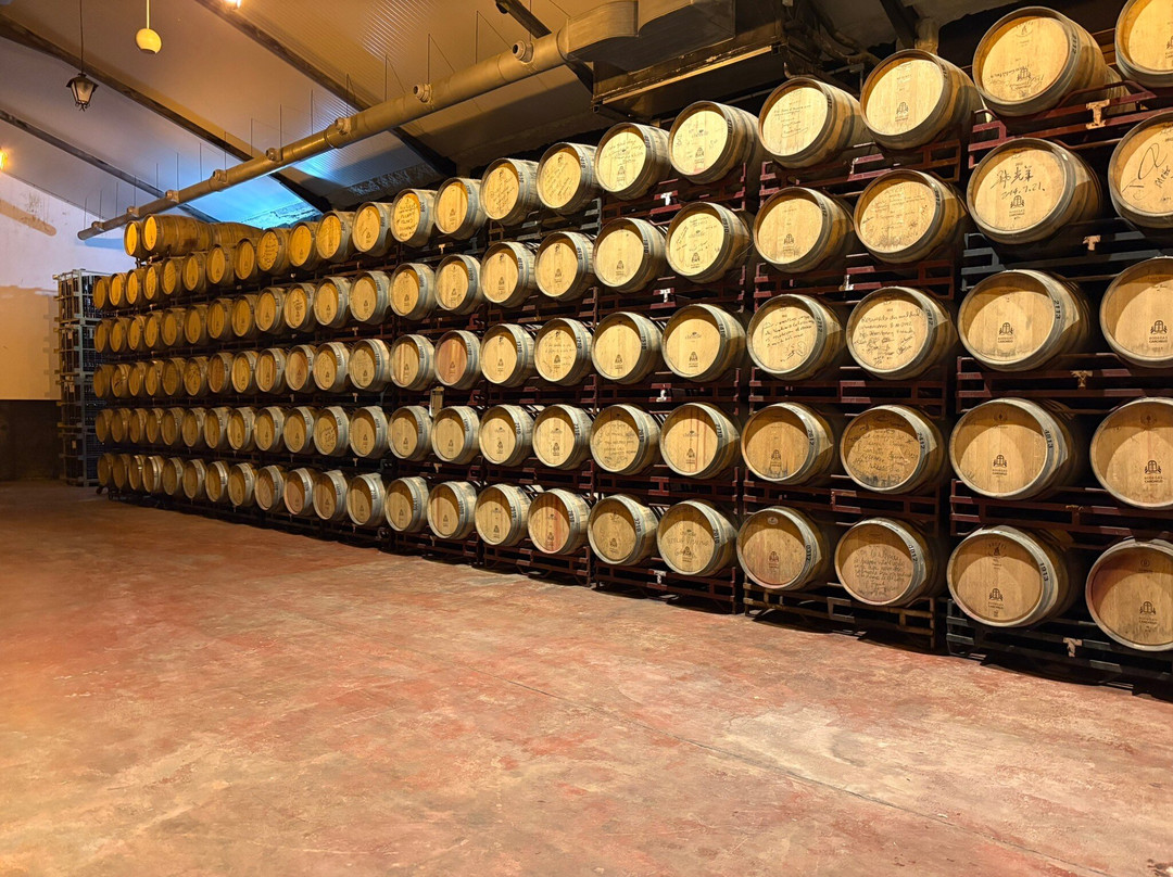 Bodegas Carchelo-Jumilla必去景点