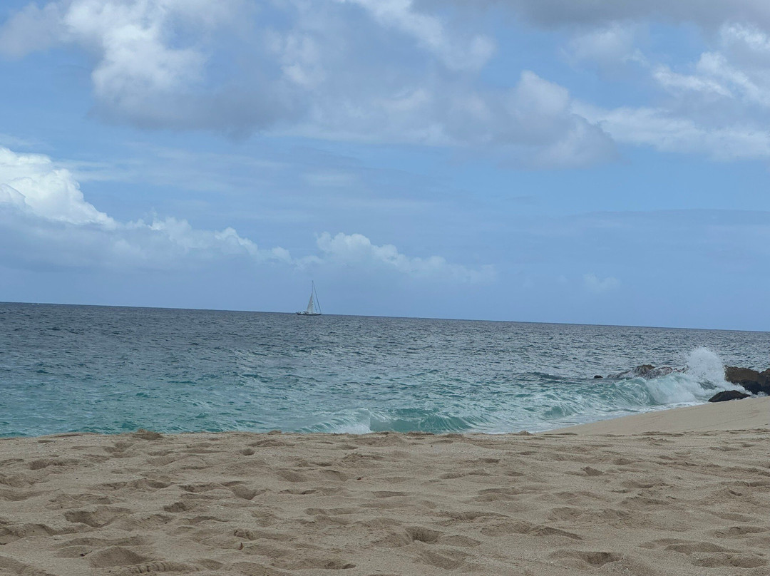Dany's Beach Bar-Cupecoy Bay必去景点
